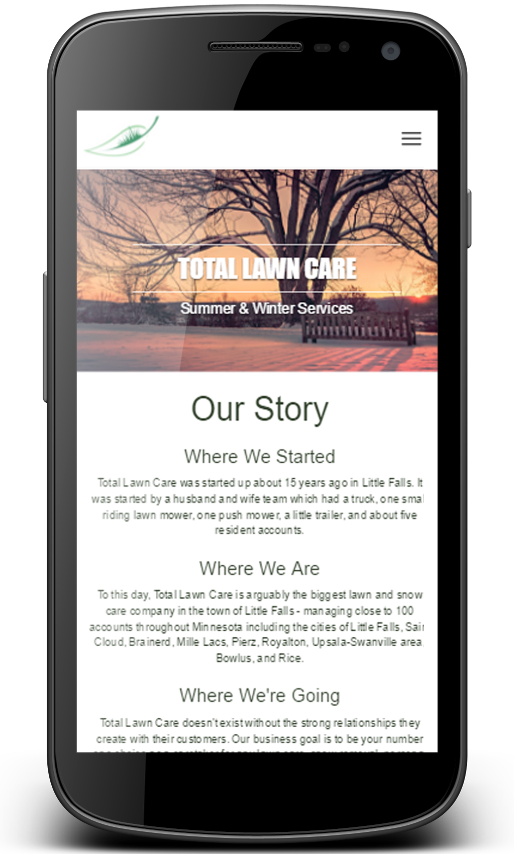 Mobile view of the website